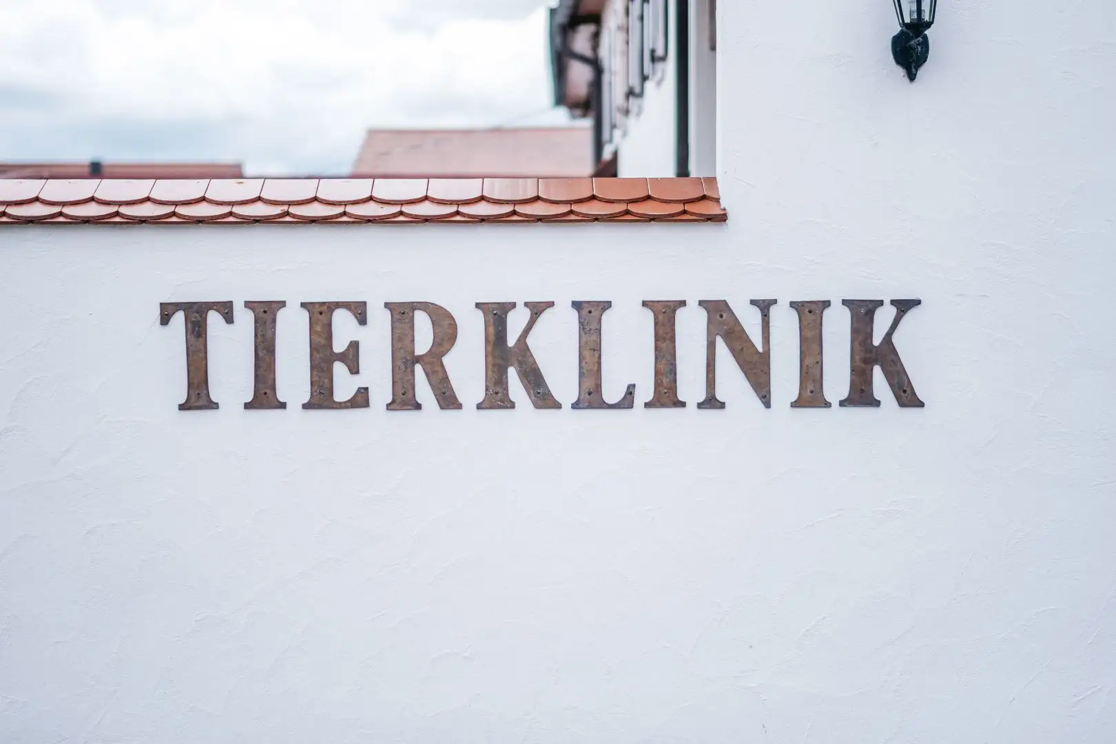 Dekoratives Bild